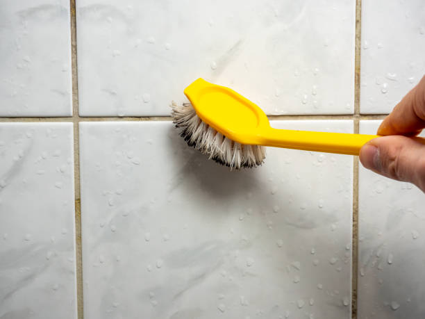 Best Mold Removal Near Me  in Verona Walk, FL