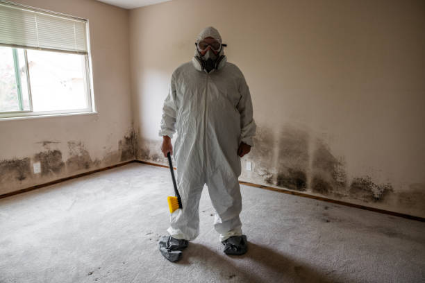 Best Mold Damage Repair  in Verona Walk, FL